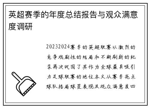 英超赛季的年度总结报告与观众满意度调研